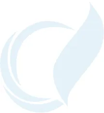 auto-3.webp
