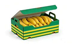 Fruit Transport Boxes