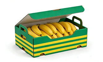 Fruit Transport Box